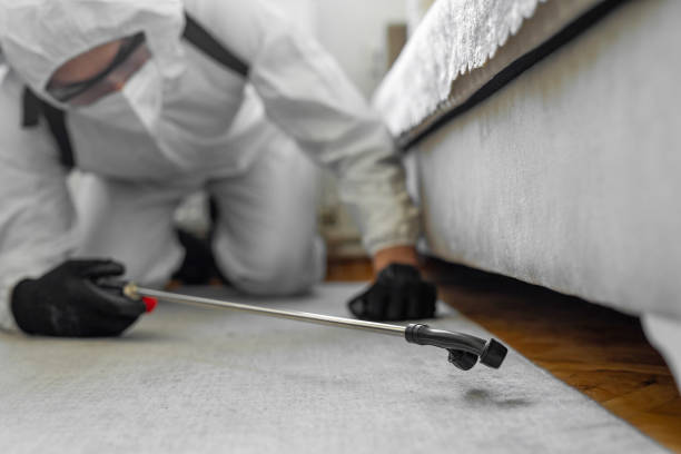 Professional Bed Bug Control technician working in Westville, NJ