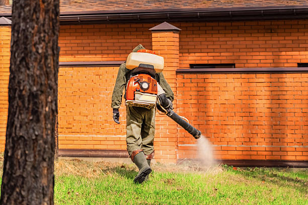 Trusted Emergency Pest Control service in Westville, NJ - Nex Pest Control